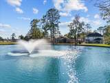 16214 Coral Bay Street - Photo 2