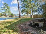 16214 Coral Bay Street - Photo 45