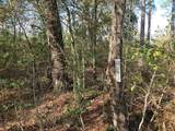 0000 Pinecone Ln Lane - Photo 3
