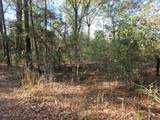 0000 Pinecone Ln Lane - Photo 5
