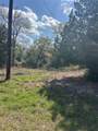 3060 Brunes Mill Road - Photo 2