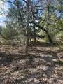 3060 Brunes Mill Road - Photo 4