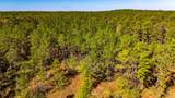 033 King Ranch Road South Road - Photo 13