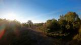 10222 Us Highway 271 - Photo 3