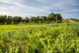 LOT 10 Hargrove Lane - Photo 12