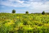 LOT 10 Hargrove Lane - Photo 9