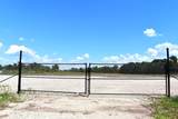8911 Fm 524 Road - Photo 6
