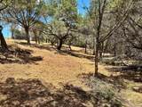 2120 Passare - Photo 12