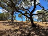 2120 Passare - Photo 7