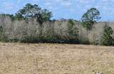 000 Pinckard Road - Photo 5