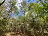 1 Fm 2665 - Photo 6
