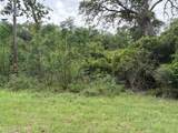 TBD Arnold Palmer Lane - Photo 4