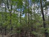 0 Gum Tree Lane - Photo 2