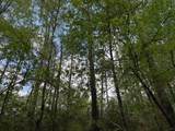 0 Gum Tree Lane - Photo 4