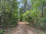 0 Gum Tree Lane - Photo 6