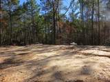 70 Tall Timbers Trail - Photo 1