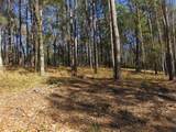 70 Tall Timbers Trail - Photo 3