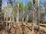 70 Tall Timbers Trail - Photo 6