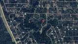 351 Big Foot Wallace Trail - Photo 2