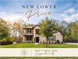 28511 Riverside Crest Lane - Photo 1