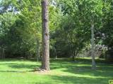 442 Baywood Street - Photo 2