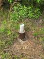 66 Cr 4248 - Photo 20