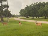 248 Middle Bayou Trail - Photo 21