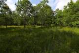 7449 Hwy 61 Highway - Photo 9
