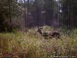 1432 Fm 1745 S - Photo 8