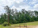 06 Fm 2937/Old Arco Rd - Photo 3