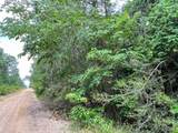 06 Fm 2937/Old Arco Rd - Photo 4