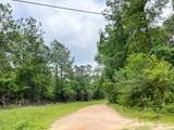 06 Fm 2937/Old Arco Rd - Photo 5
