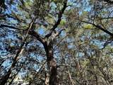 1117 Madrone - Photo 10