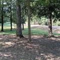 125 County Road 1075 - Photo 21