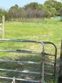 12412 Jenkins Road - Photo 2