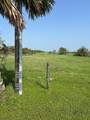 12412 Jenkins Road - Photo 3
