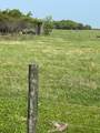 12412 Jenkins Road - Photo 4