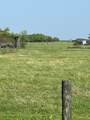 12412 Jenkins Road - Photo 5