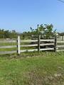 12412 Jenkins Road - Photo 6
