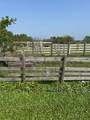 12412 Jenkins Road - Photo 7