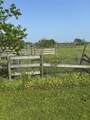 12412 Jenkins Road - Photo 8
