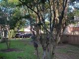 2910 Grants Lake Boulevard - Photo 23