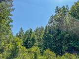 15 Joskey Dykes Rd - Photo 12