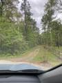 TBD Little John Street - Photo 8