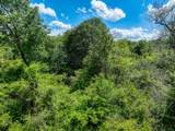 TBD County Road 132 - Photo 17
