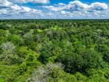 TBD County Road 132 - Photo 20
