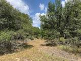 00 Private Road 1581 Road - Photo 10
