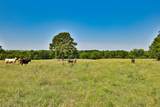 Tract #10 Cr 305 Road - Photo 17