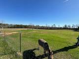 2606 Hwy 87 - Photo 20
