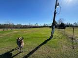 2606 Hwy 87 - Photo 21